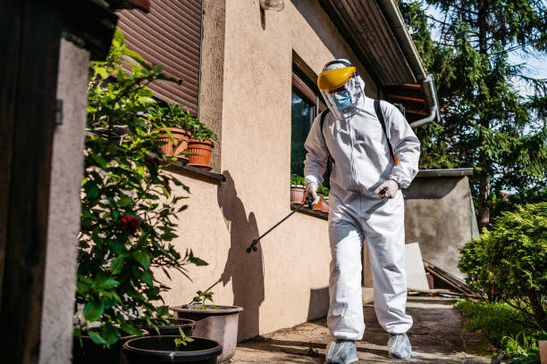 Best Local Pest Control Services  in Valley View, PA
