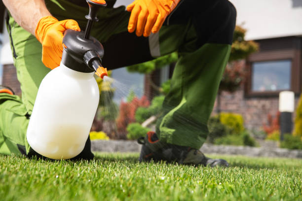 Pest Prevention Services in Valley View, PA