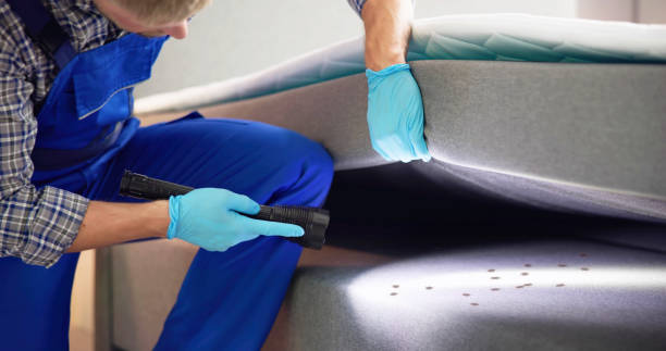 Best Flea Control Services  in Valley View, PA