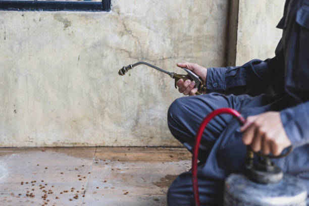 Best Pest Removal Services  in Valley View, PA